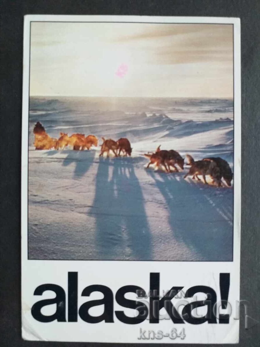 SUA Călătorit SUA Călătorit