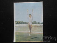 Calendar vechi bulgăresc, 1985