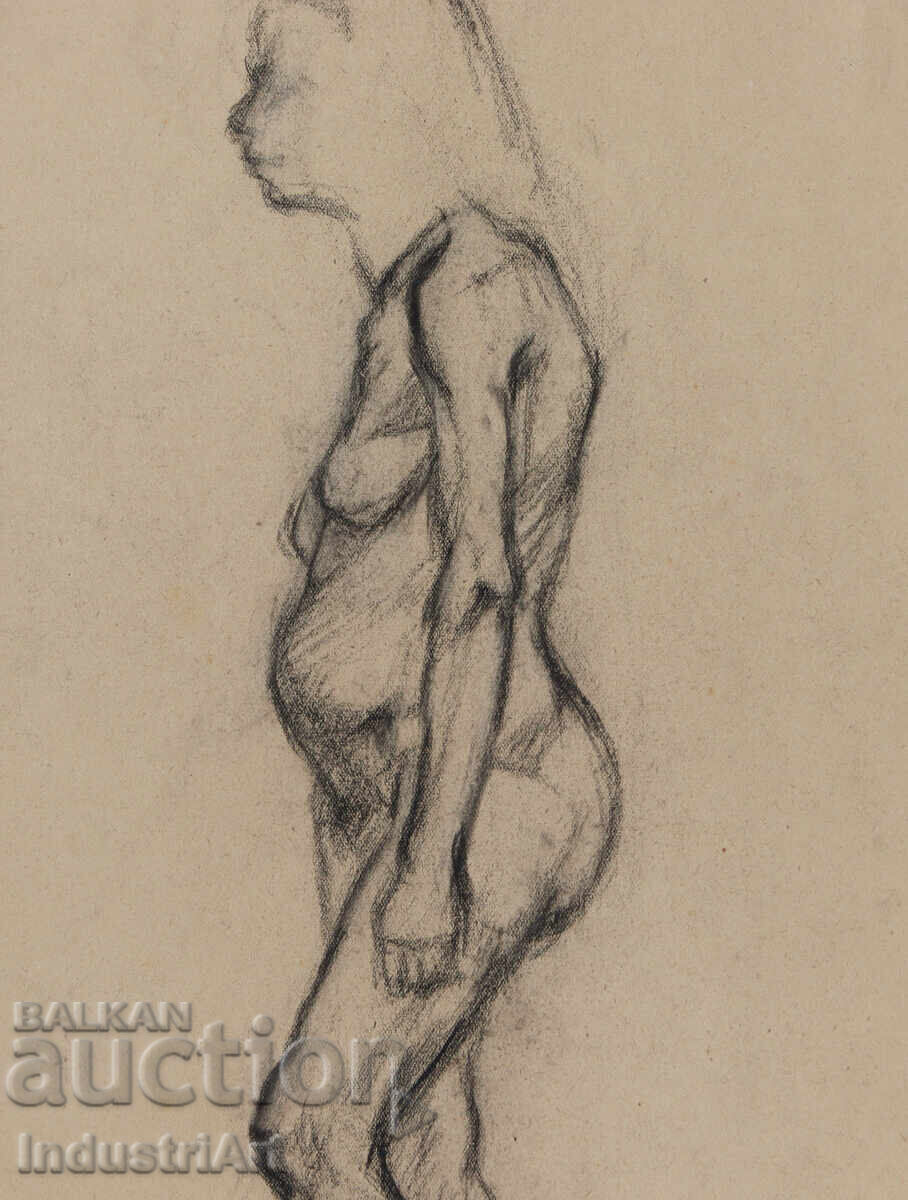 Old charcoal drawing female portrait nude body - 5