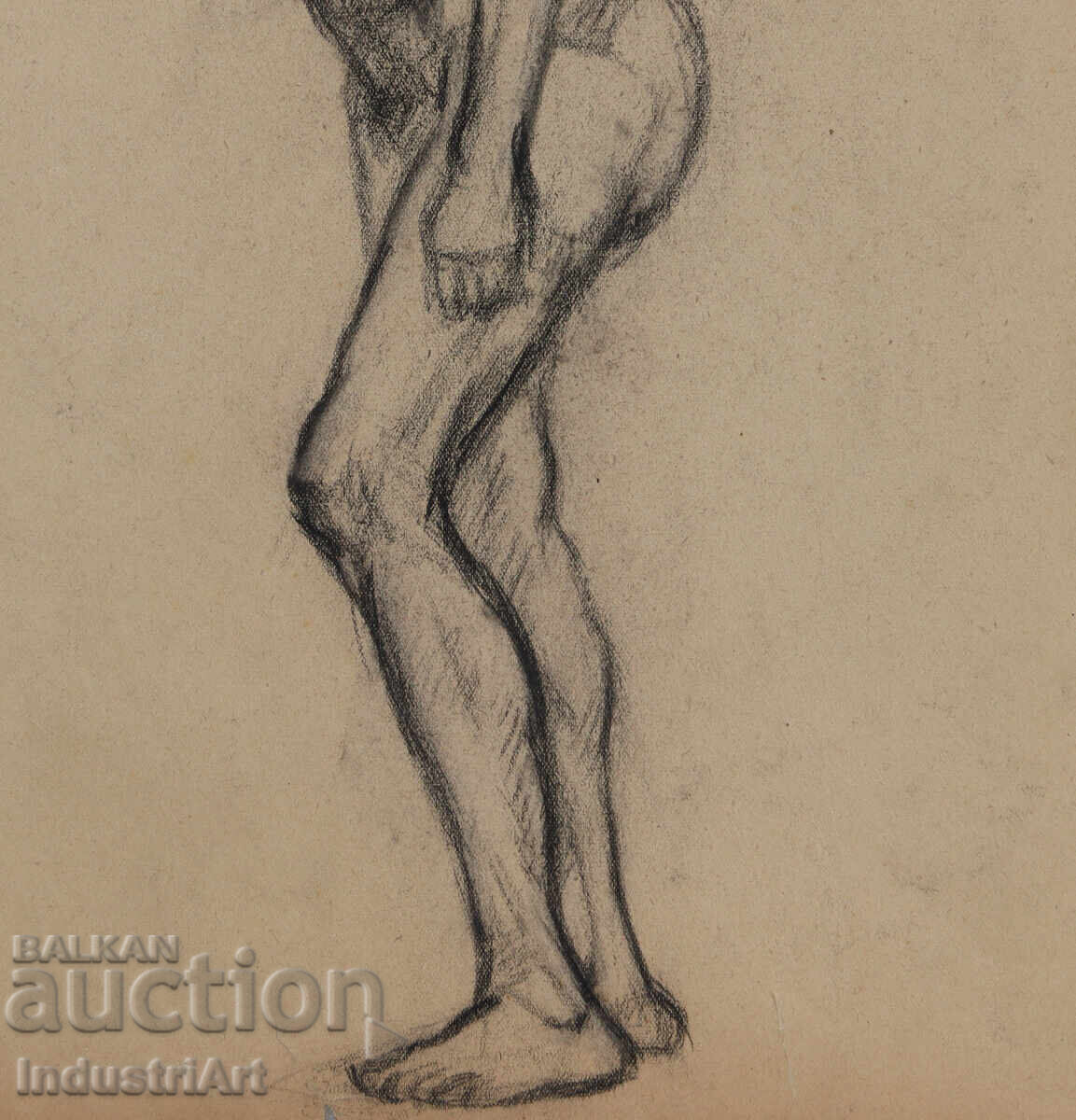 Old charcoal drawing female portrait nude body - 6