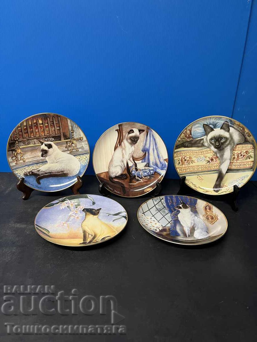 Farfurii de porțelan de colecție cu pisici