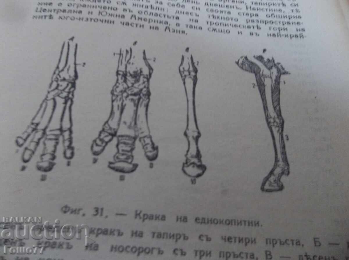 Παράδοση Βιβλίο