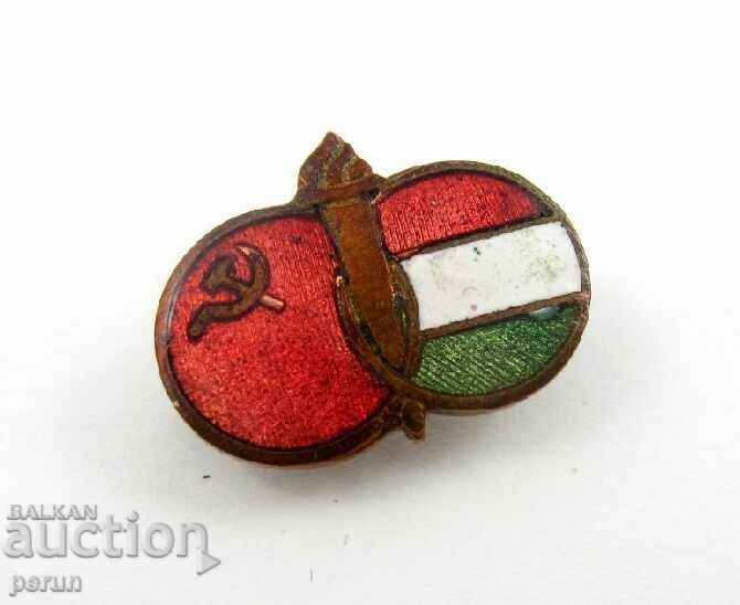 Licitație URSS și Ungaria Prietenie Veșnică - Steaguri Naționale - Epoca Socialistă