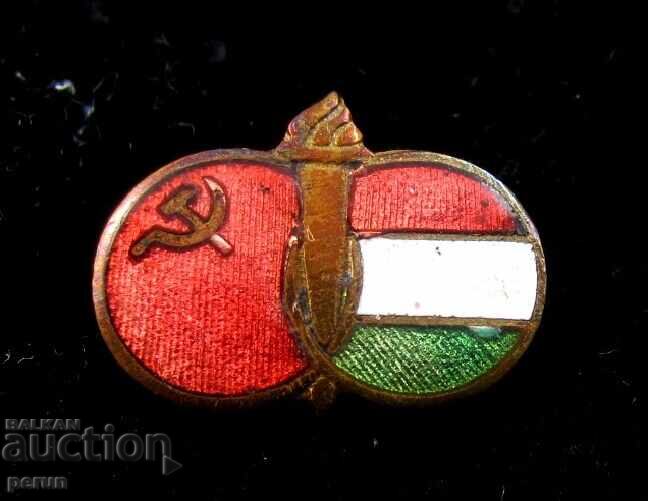 Livrarea URSS și Ungaria Prietenie Veșnică - Steaguri Naționale - Epoca Socialistă