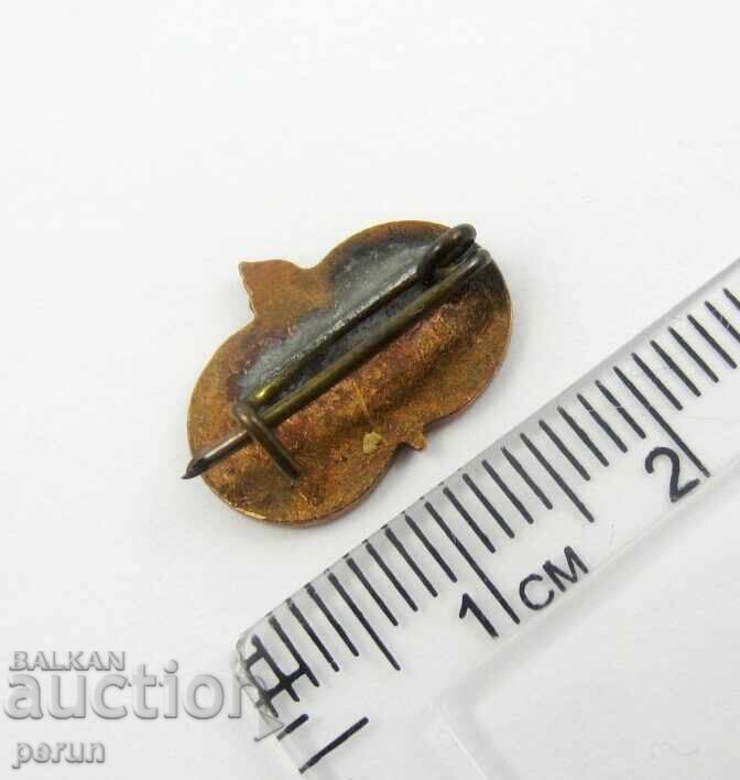 URSS și Ungaria Prietenie Veșnică - Steaguri Naționale - Epoca Socialistă - 5