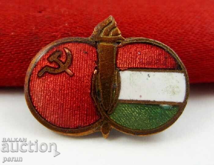 URSS și Ungaria Prietenie Veșnică - Steaguri Naționale - Epoca Socialistă - 6