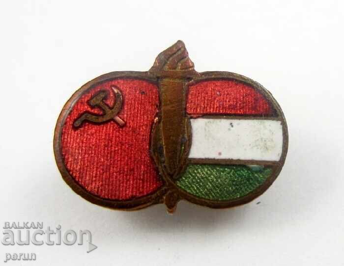 URSS și Ungaria Prietenie Veșnică - Steaguri Naționale - Epoca Socialistă