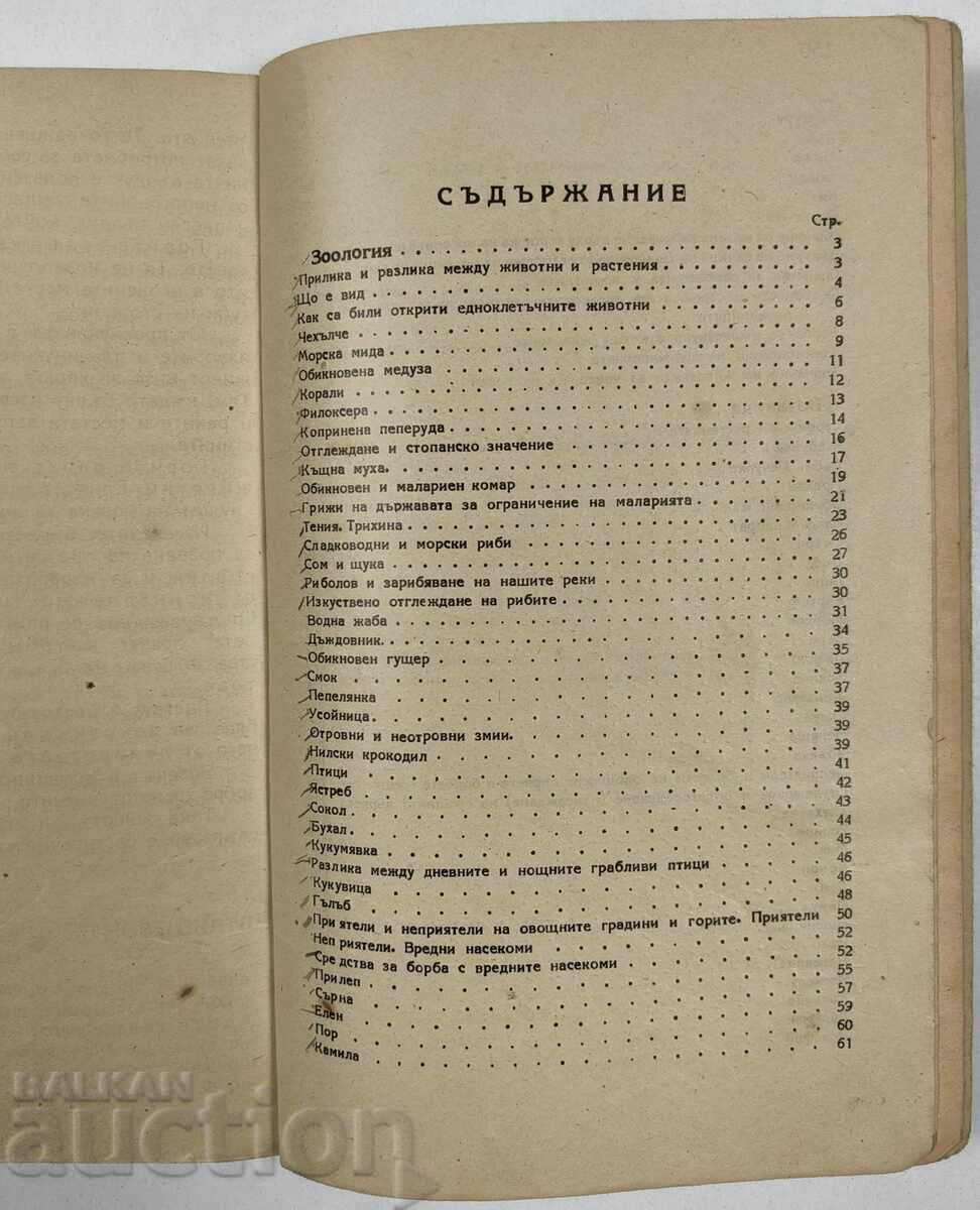 Auction  1947 Natural History for First Grade