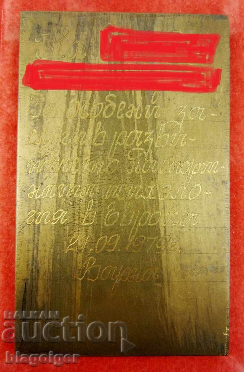Доставка на Почетен плакет-За заслуги-Спортна психология-Конгрес 1979 Доставка на Почетен плакет-За заслуги-Спортна психология-Конгрес 1979