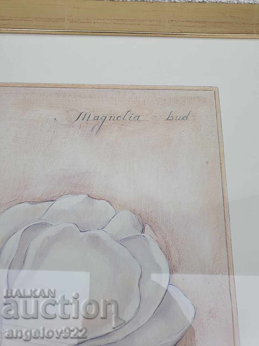 Доставка на Авторска графика в красива дървена рамка със стъкло!!!