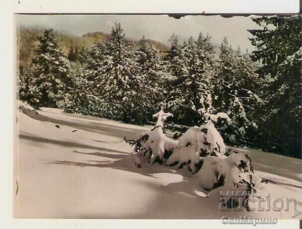 Κάρτα Βουλγαρίας Ροδόπη Χίzha "Πέρσενκ" - Τοπίο* Κάρτα Βουλγαρίας Ροδόπη Χίzha "Πέρσενκ" - Τοπίο*