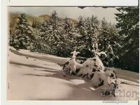Bulgaria Postcard Rhodopes Persenk Chalet - Landscape*