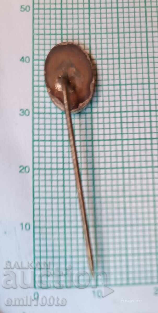 Delivery of Badge - Helen Delivery of Badge - Helen