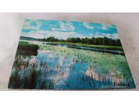 Ταχυδρομική κάρτα Finland 1981