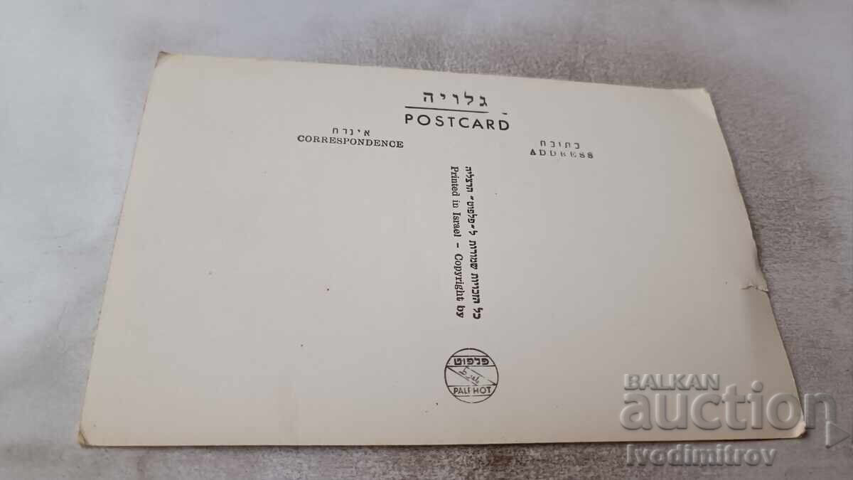 Apartment Kfar Giladi Trumpeldor Monument w. Mt. Hermon with price 0.85 BGN | € 0.43