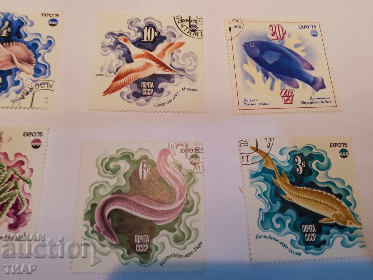 Auction USSR postage stamps -0.01 cents Auction USSR postage stamps -0.01 cents