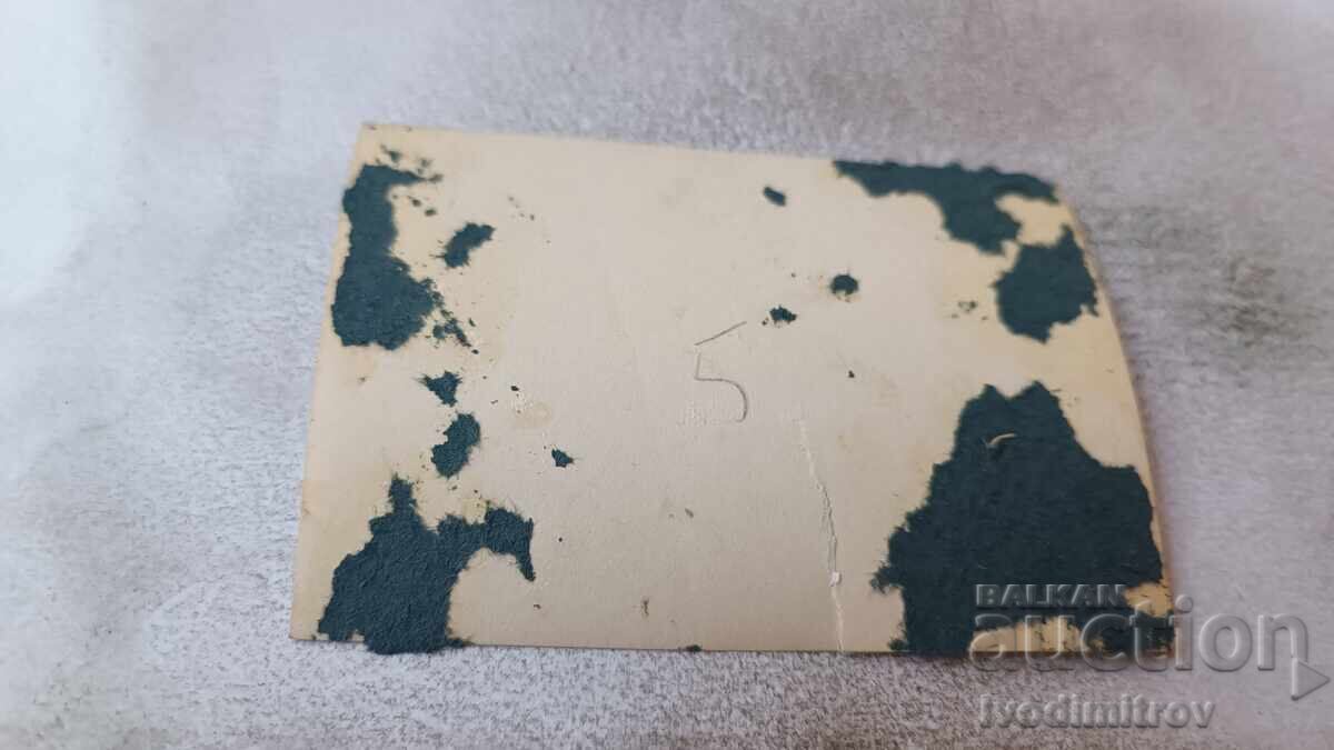 Φωτογραφία Ανέμου Αεροπλάνου σε Πτήση με τιμή 2.35 BGN | € 1.20