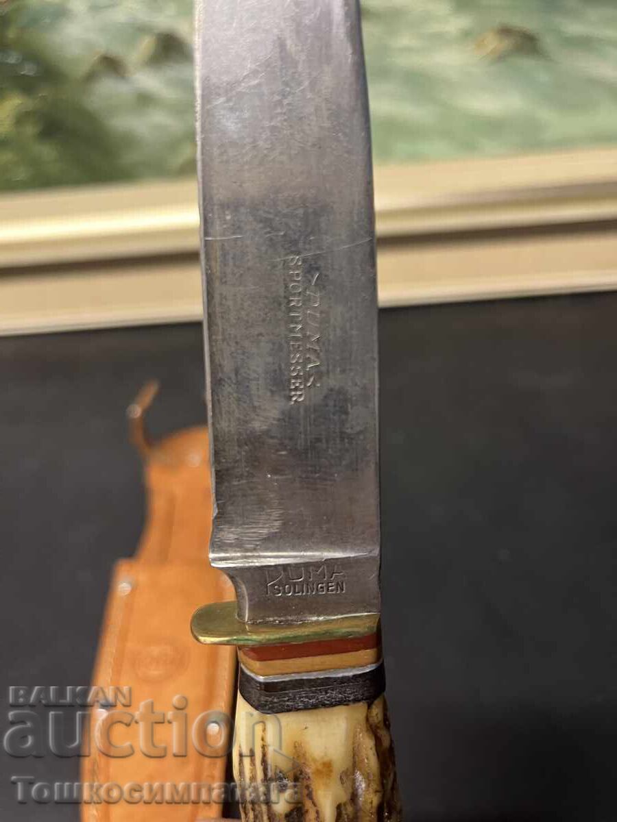 Cuțit de colecție Solingen PUMA - 6