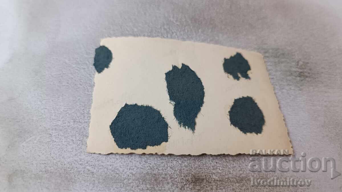 Fotografie Cinci bărbați în râu cu preț 1.85 BGN | € 0.95 Fotografie Cinci bărbați în râu cu preț 1.85 BGN | € 0.95