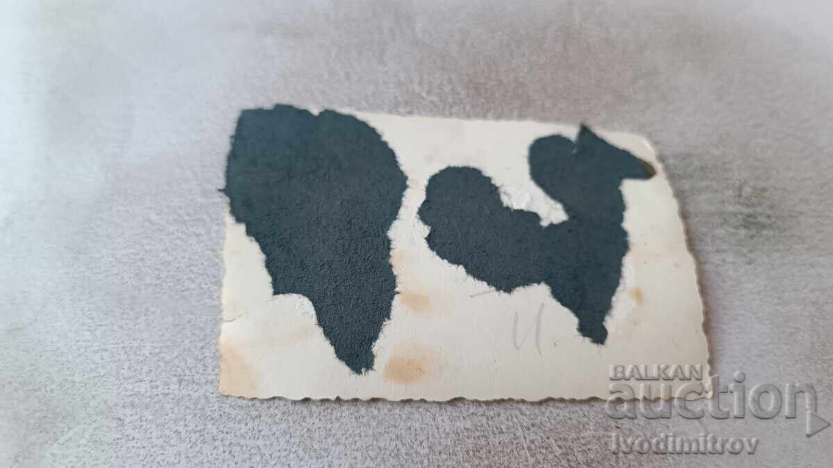 Fotografie Un tânăr și două fete tinere pe plajă cu preț 1.85 BGN | € 0.95