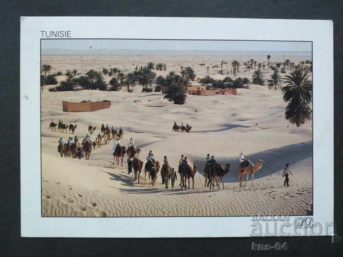 Tunisia Călătorit Tunisia Călătorit