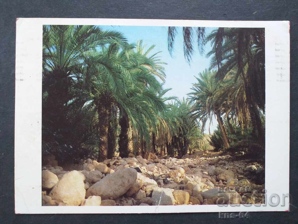 Λιβύη Ταξιδεύει Λιβύη Ταξιδεύει