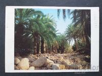 Λιβύη Ταξιδεύει