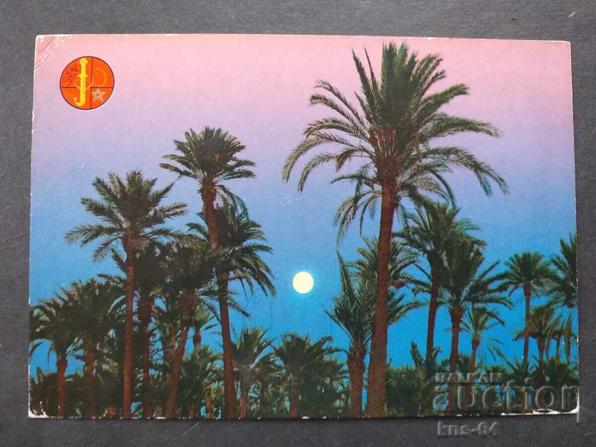 Мароко Пътувала Мароко Пътувала