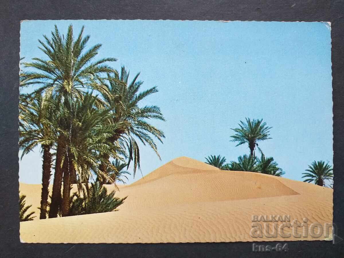 Мароко Пътувала Мароко Пътувала