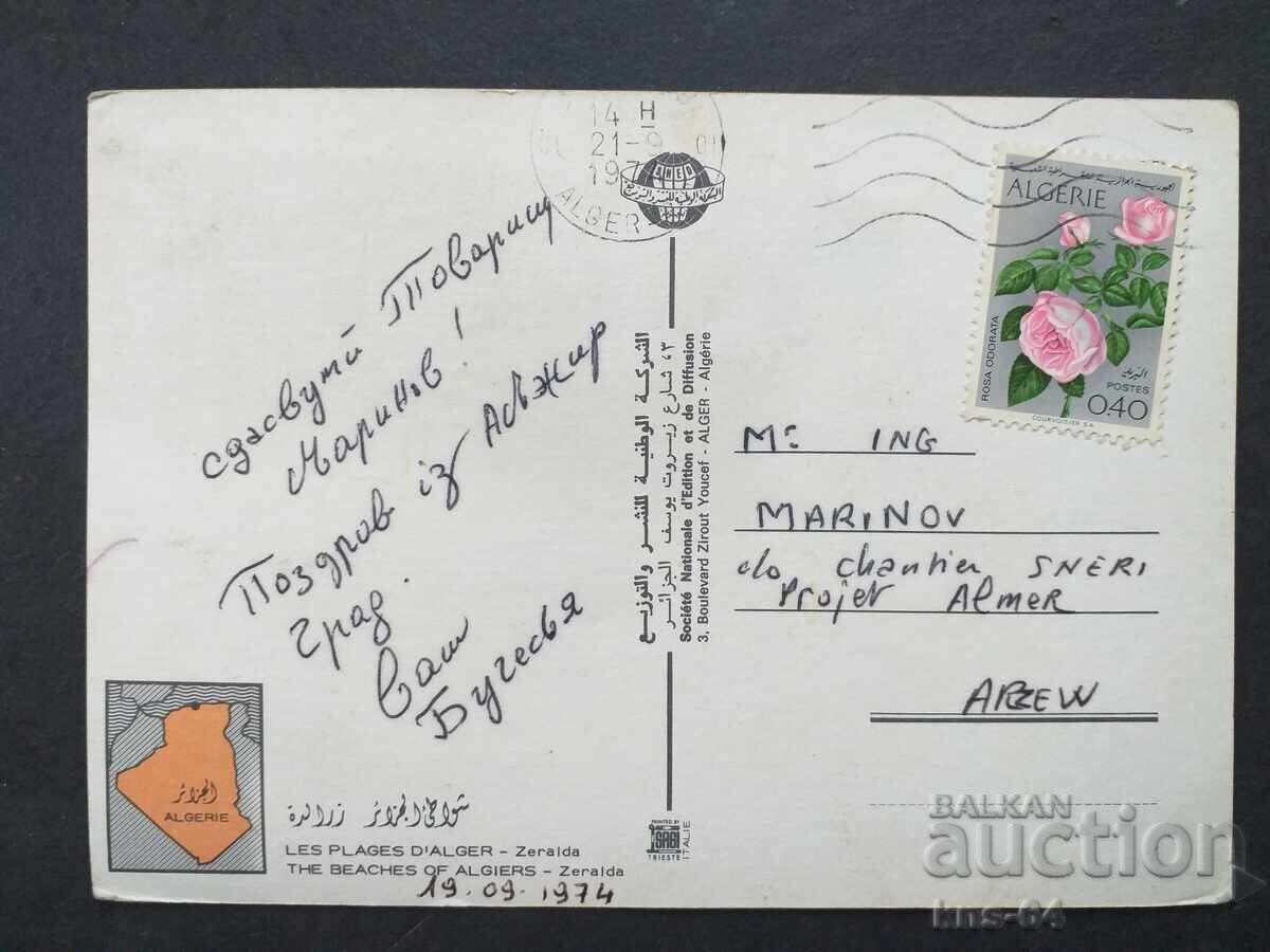 Алжир Пътувала с цена 0.70 лв. | € 0.36 Алжир Пътувала с цена 0.70 лв. | € 0.36