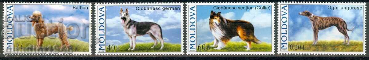 Moldova 2006 - Rase de câini, serie completă, curată