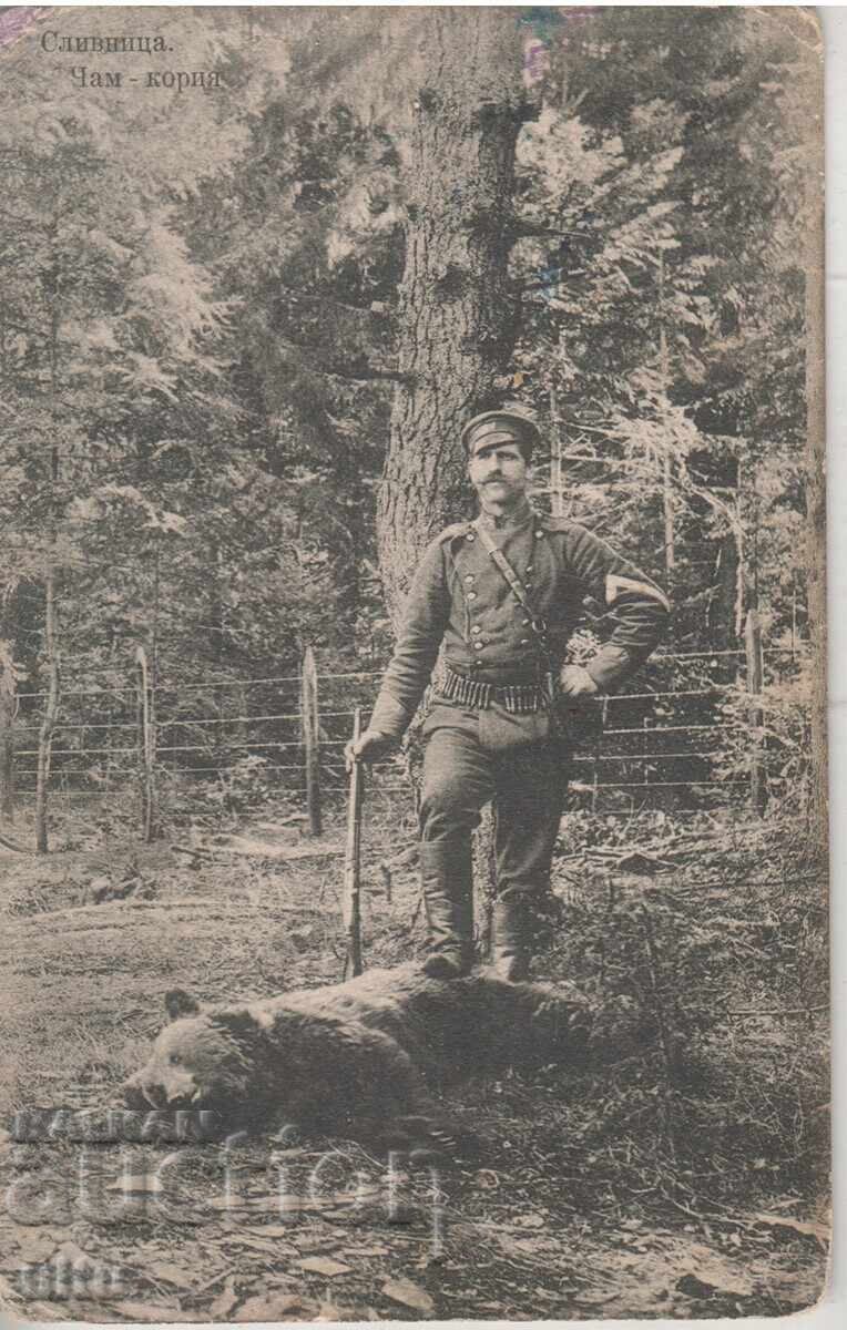 Βουλγαρία, Χαιρετισμός από Σαμοκόβ (Τσαμ Κορίγια), ταχυδρομημένη