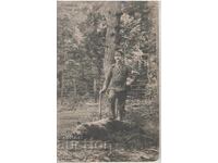 Βουλγαρία, Χαιρετισμός από Σαμοκόβ (Τσαμ Κορίγια), ταχυδρομημένη