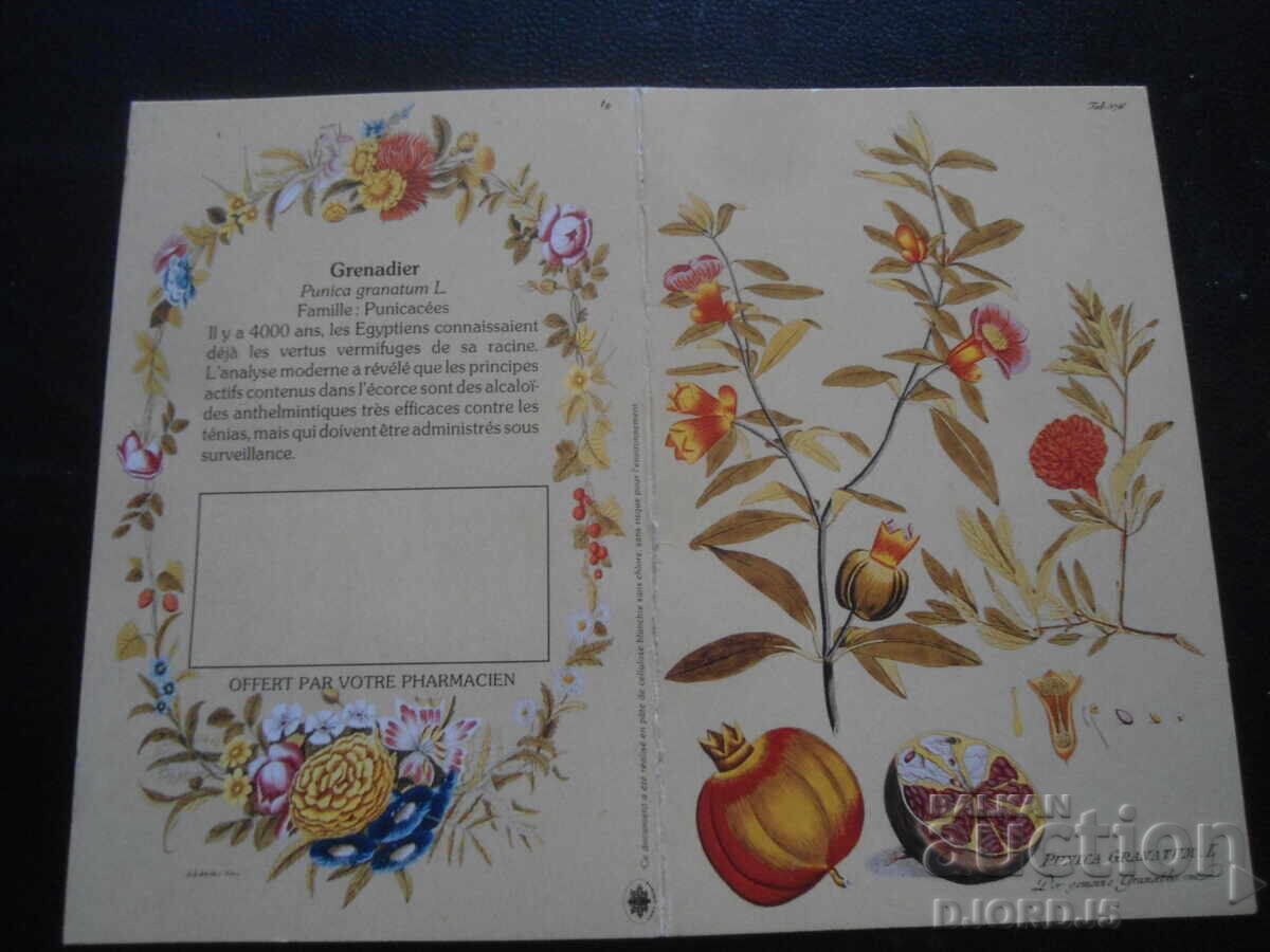 Аукцион Старо руско календарче, 1997 г. Аукцион Старо руско календарче, 1997 г.