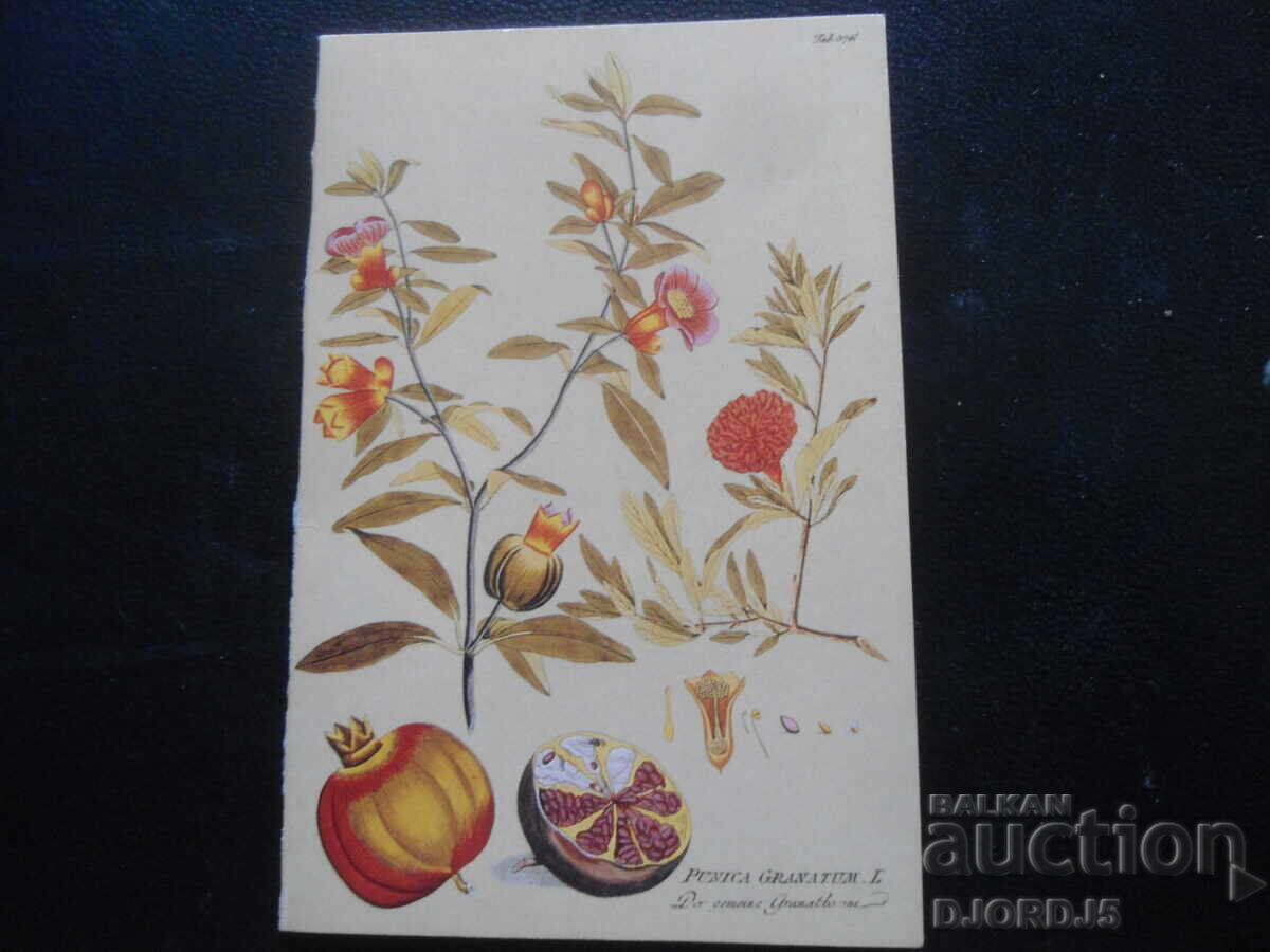 Старо руско календарче, 1997 г. Старо руско календарче, 1997 г.