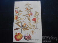 Old Russian calendar, 1997