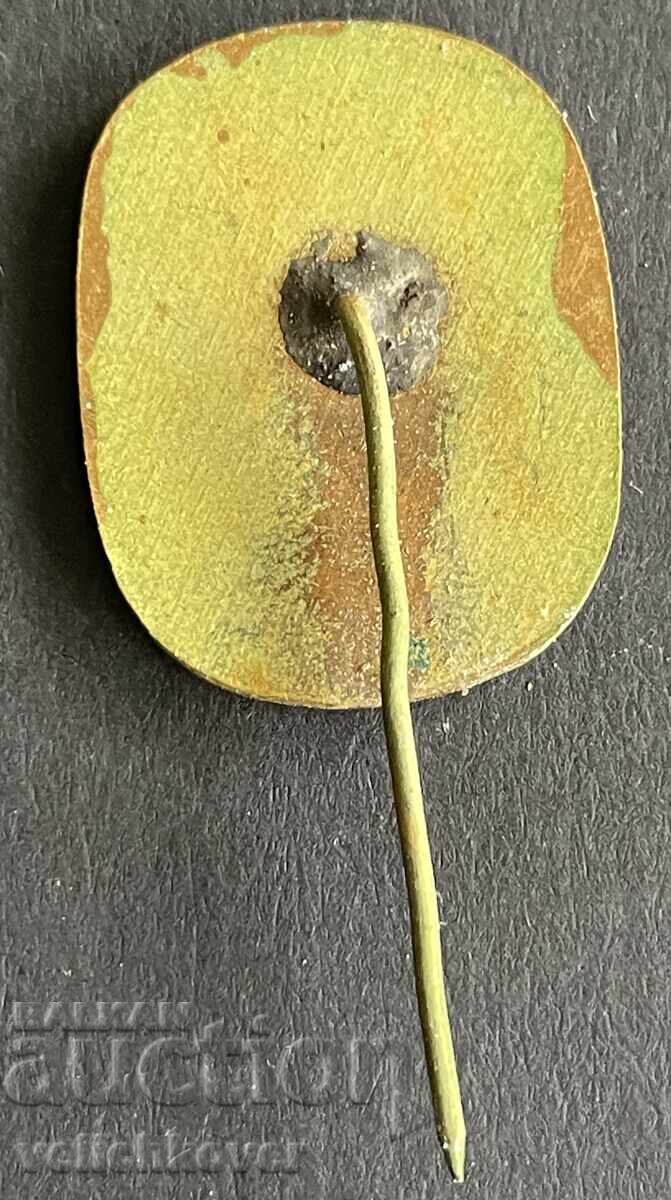 42194 Βουλγαρία γραμματόσημο Συνέδριο Δασκάλων 1962 Εμαγιέ με τιμή 8.00 BGN | € 4.09