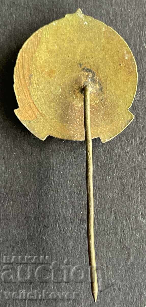 42204 Βουλγαρία γραμματόσημο σχολείο ΒΤΜ Αθανάσιος Ρομάνοφ email 50-τα με τιμή 40.00 BGN | € 20.45 42204 Βουλγαρία γραμματόσημο σχολείο ΒΤΜ Αθανάσιος Ρομάνοφ email 50-τα με τιμή 40.00 BGN | € 20.45