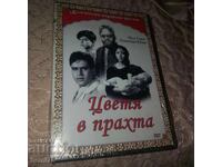 Flori în praf - Film indian Nou, sigilat - DVD