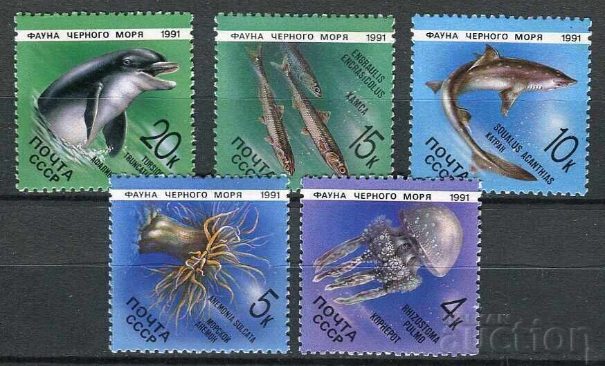 URSS 1971. MnH - Faună, faună marină, pești