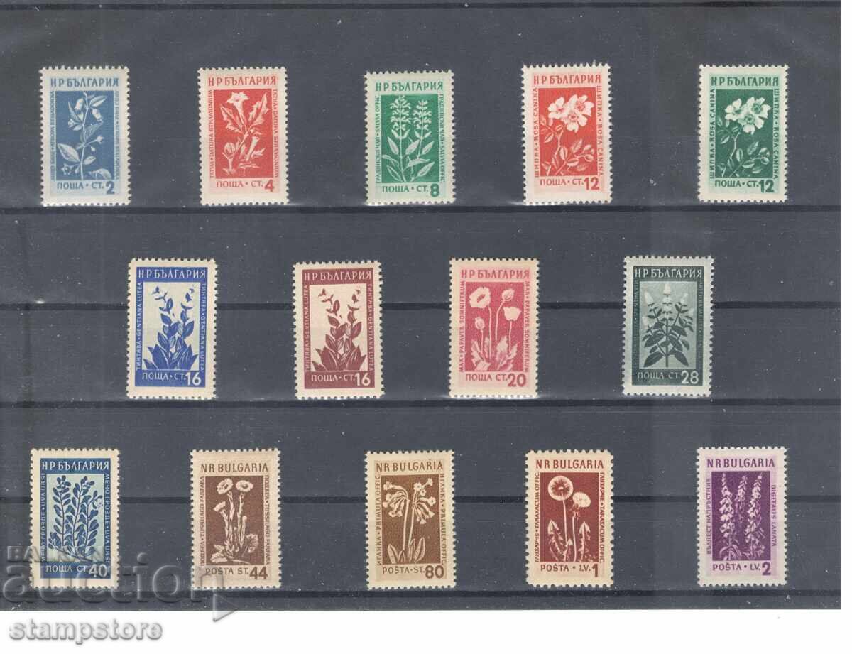 Билки Билки