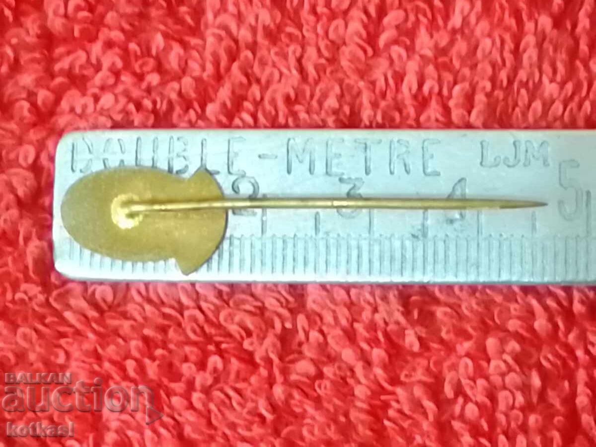 Παλαιό μικρό έμβλημα μπρούτζινη καρφίτσα γυναίκα αστέρι SONP με τιμή 5.50 BGN | € 2.81