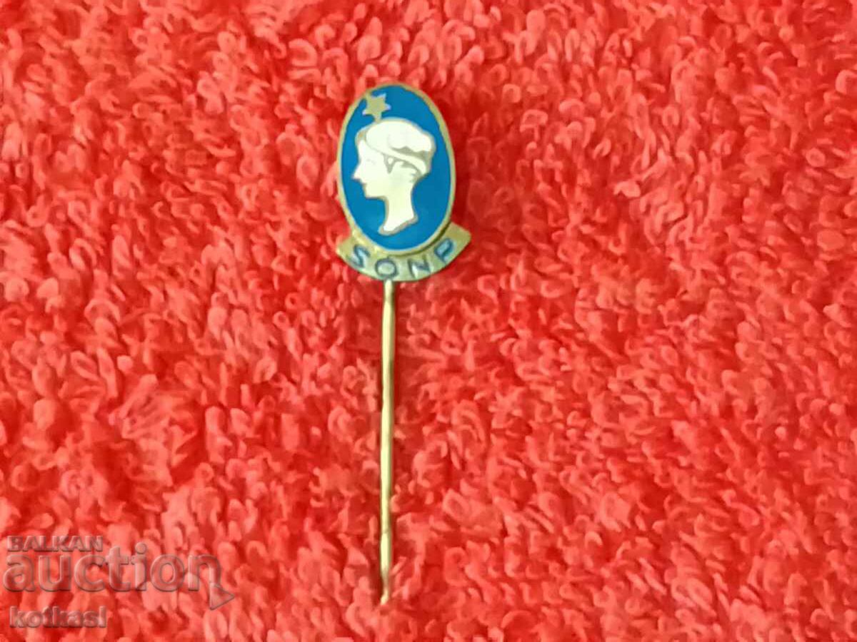 Δημοπρασία Παλαιό μικρό έμβλημα μπρούτζινη καρφίτσα γυναίκα αστέρι SONP
