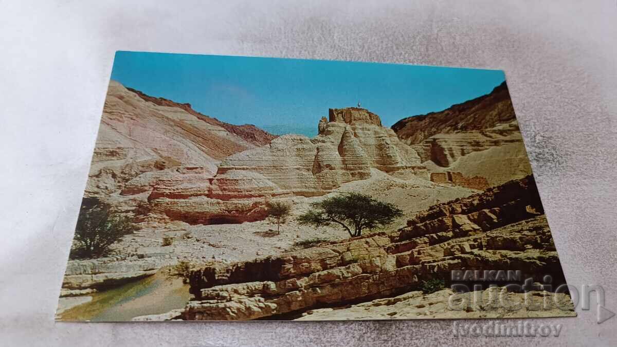 Carte poștală Zohar-Citadel Casa el Suera