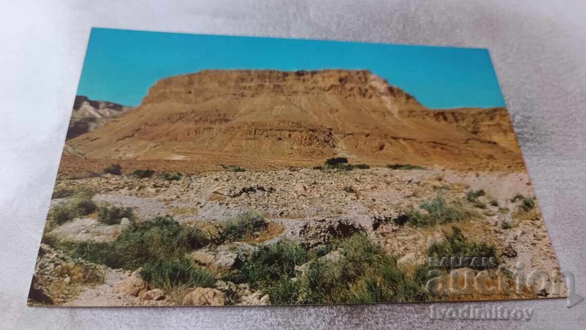 The MASSADA Rock Poshtenska kartichka The MASSADA Rock Poshtenska kartichka