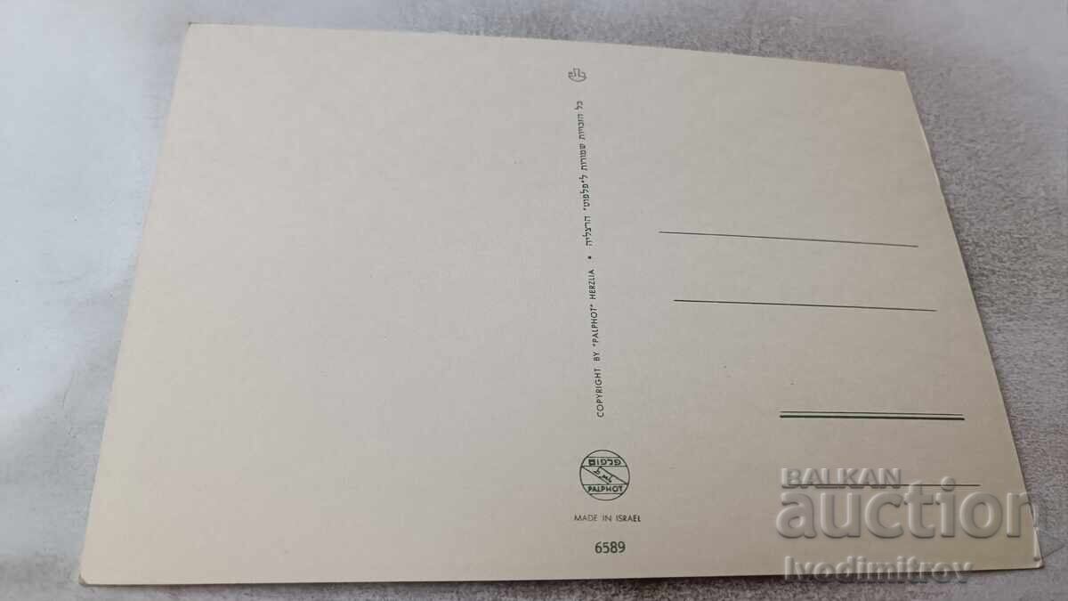 Postcard Nazareth Collage with price 0.85 BGN | € 0.43