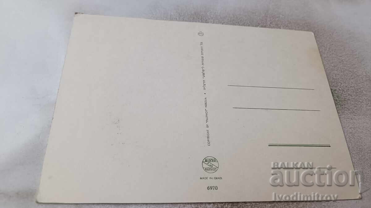 Postcard Israel Collage with price 0.85 BGN | € 0.43 Postcard Israel Collage with price 0.85 BGN | € 0.43