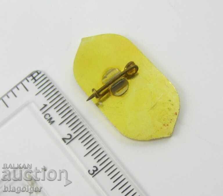 Shopping Center Vratitsa Vratsa - Social Badge with price 2.99 BGN | € 1.53 Shopping Center Vratitsa Vratsa - Social Badge with price 2.99 BGN | € 1.53