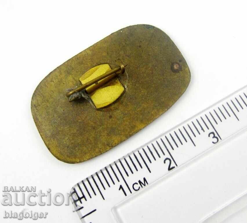 Auction  FREEDOM OR DEATH - NOVGRAD 1868 - MEMORIAL BADGE