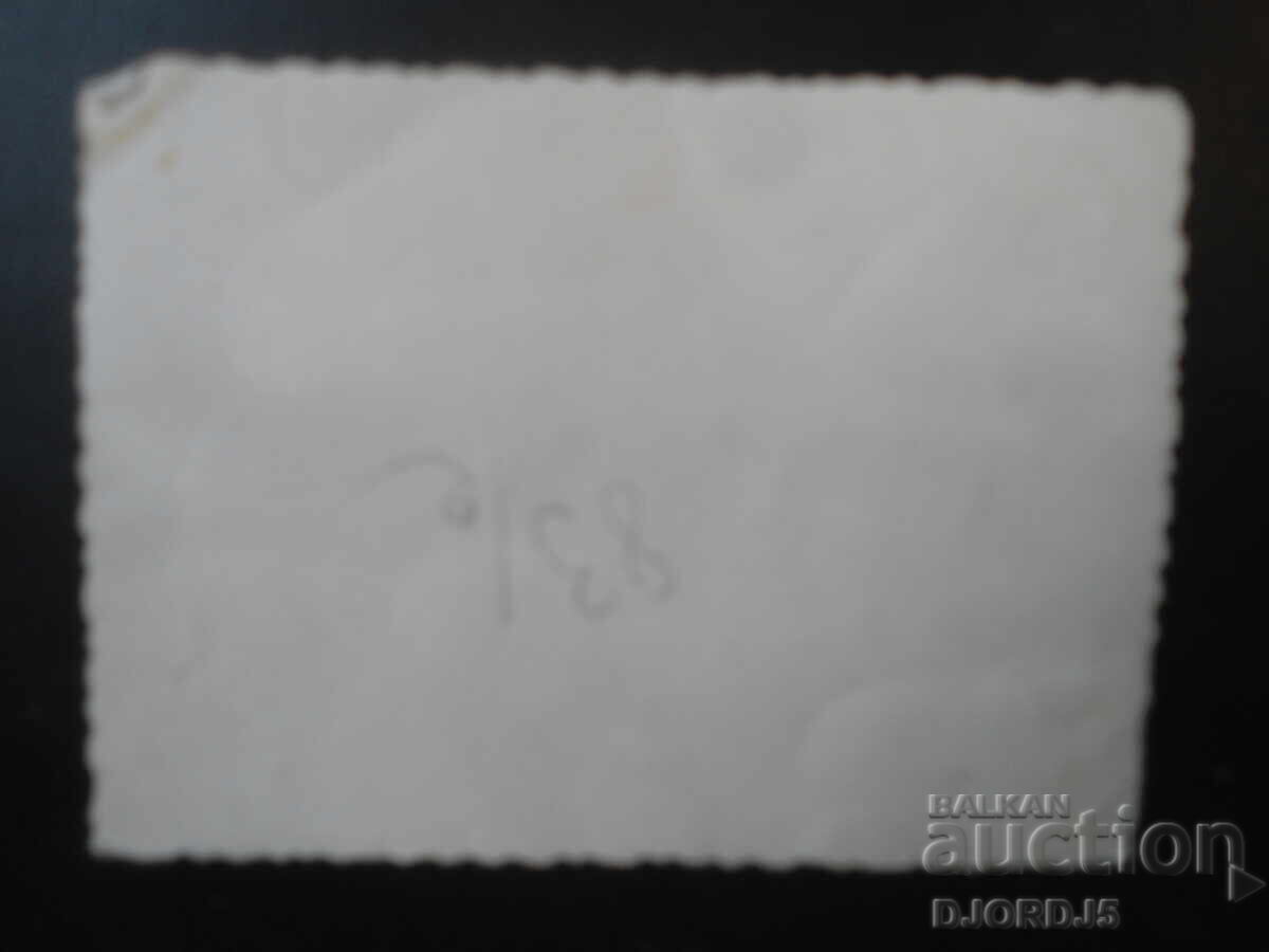 BERKOVITSA - στρατόπεδα, 1948 god με τιμή 1.00 BGN | € 0.51